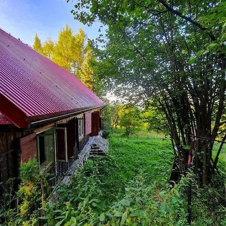 Grapa - Magiczna Lesna * Skawica (Lesser Poland)