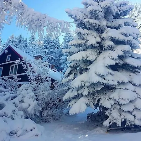 Grapa - Magiczna Lesna * Skawica (Lesser Poland)