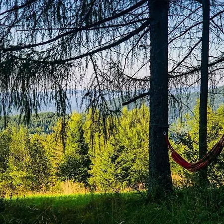 Grapa - Magiczna Lesna Skawica (Lesser Poland)