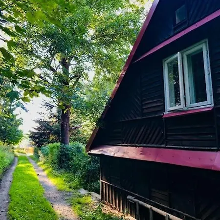 Grapa - Magiczna Lesna Skawica (Lesser Poland)