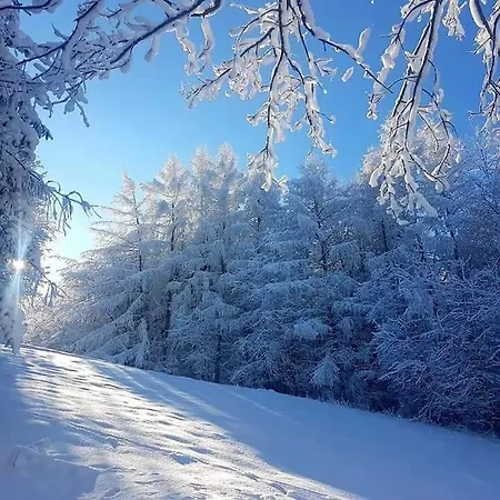 Σπίτι διακοπών Grapa - Magiczna Lesna