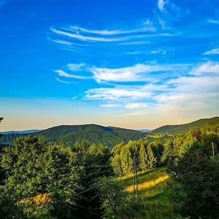 Σπίτι διακοπών Grapa - Magiczna Lesna