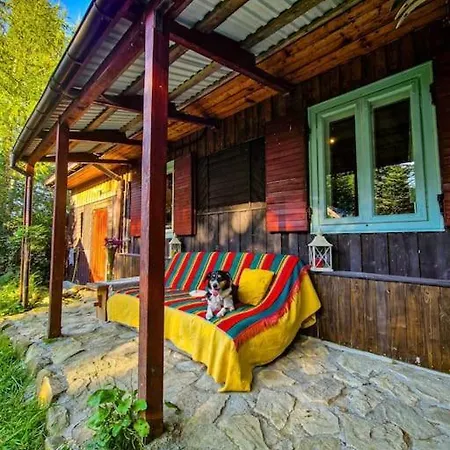 Grapa - Magiczna Lesna Σπίτι διακοπών