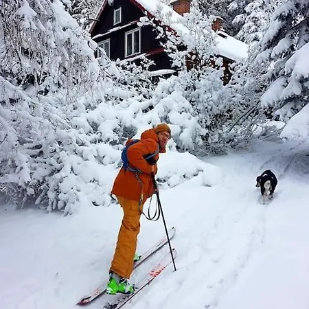 Grapa - Magiczna Lesna