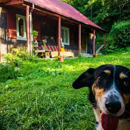 Grapa - Magiczna Lesna Holiday home
