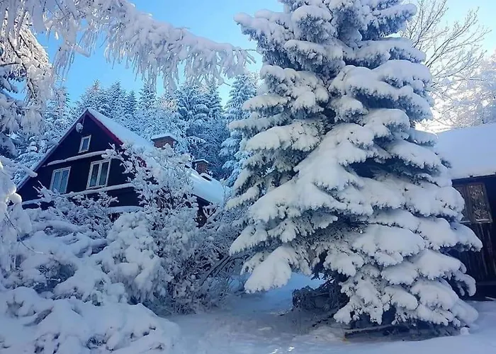 Grapa - Magiczna Lesna * Skawica (Lesser Poland)