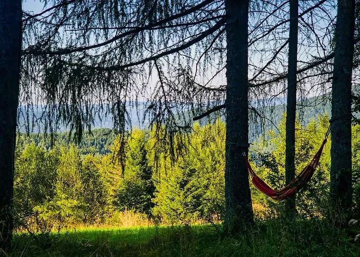 Grapa - Magiczna Lesna Skawica (Lesser Poland)