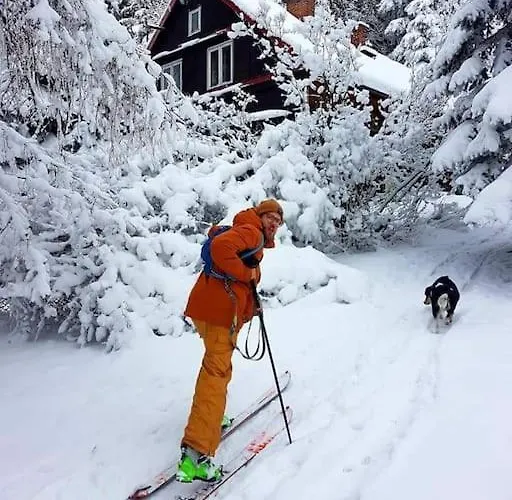 Grapa - Magiczna Lesna