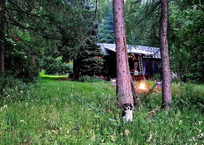 Grapa - Magiczna Lesna Casa vacanze