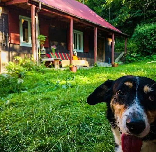 Grapa - Magiczna Lesna Casa vacanze